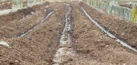 compost windrows at commercial composting facility